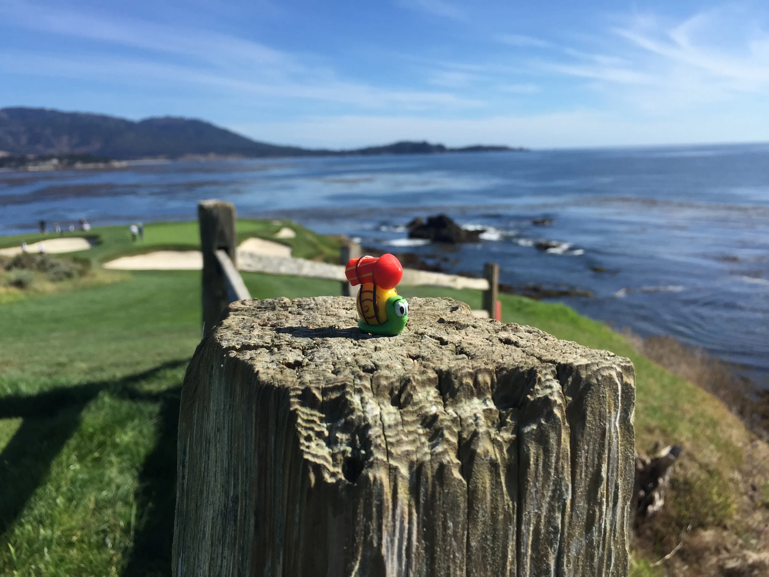 Pebble Beach